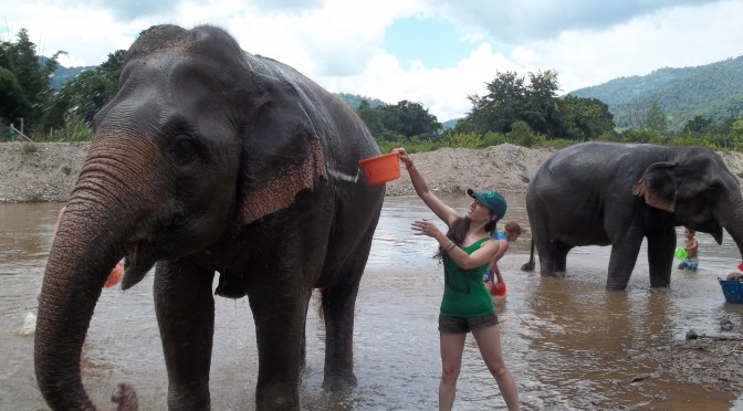 Bathing Elephants in Thailand